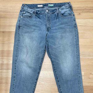 Anthropologie Pilcro Cropped Jeans; Size 16W Plus